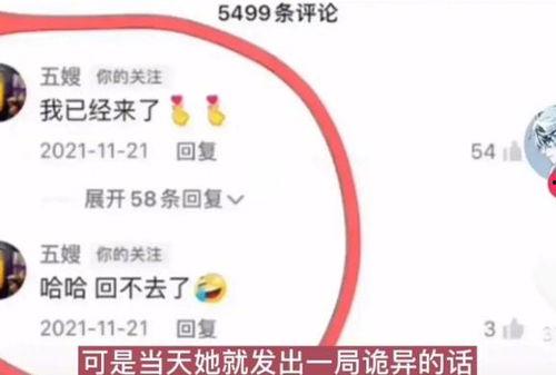 柬埔寨爆料小白是谁啊视频,视频背后的神秘人物